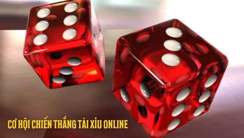 Tầm quan trọng của việc nhận diện các loại cầu cơ bản
