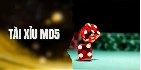 Quy trình đăng ký tài xỉu MD5 qua link nhanh chóng