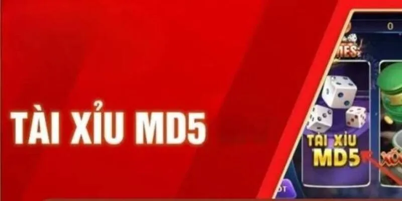Cách kết hợp kinh nghiệm và công cụ phân tích tài xỉu MD5