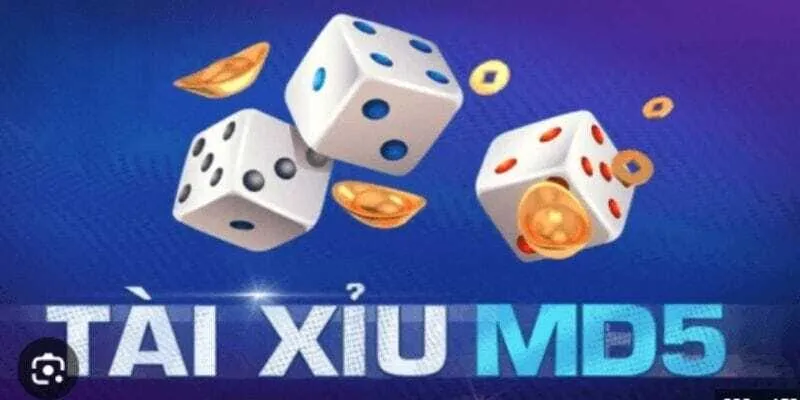 Cách kiểm soát nguồn vốn và cảm xúc trong quá trình cá cược