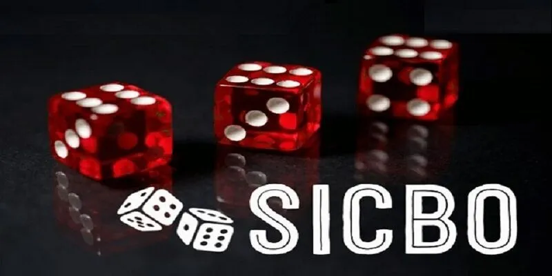 Đồ họa 3D sống động tạo trải nghiệm trực quan